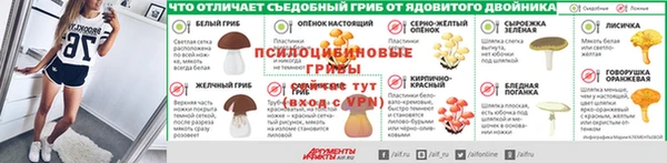 прущие грибы Арсеньев