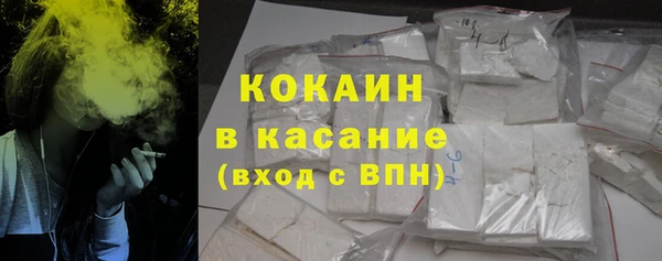 прущие грибы Арсеньев
