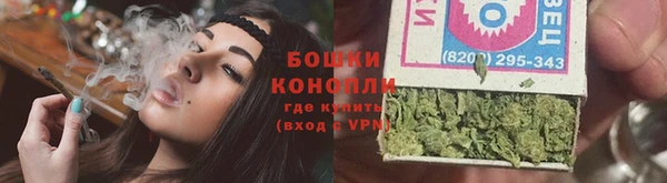 прущие грибы Арсеньев