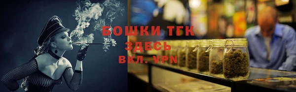 mix Инта