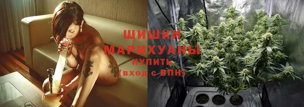 прущие грибы Арсеньев