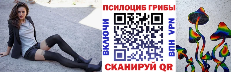 Галлюциногенные грибы ЛСД  где можно купить   маркетплейс как зайти  Якутск 