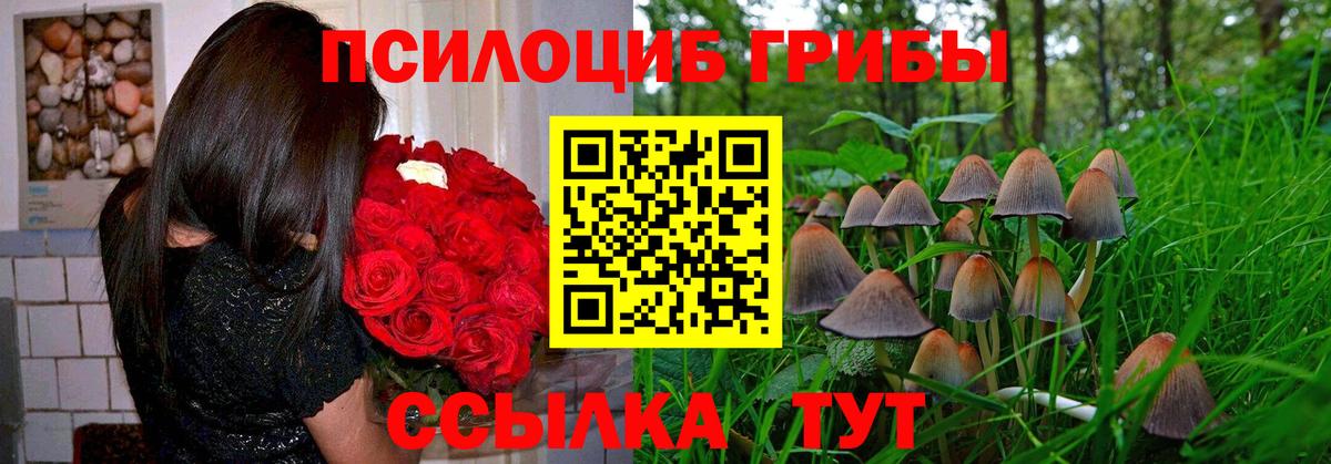 Галлюциногенные грибы Psilocybe  Вход с VPN  Якутск 